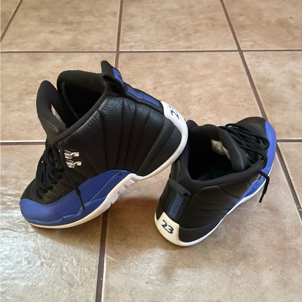 Air Jordan 12